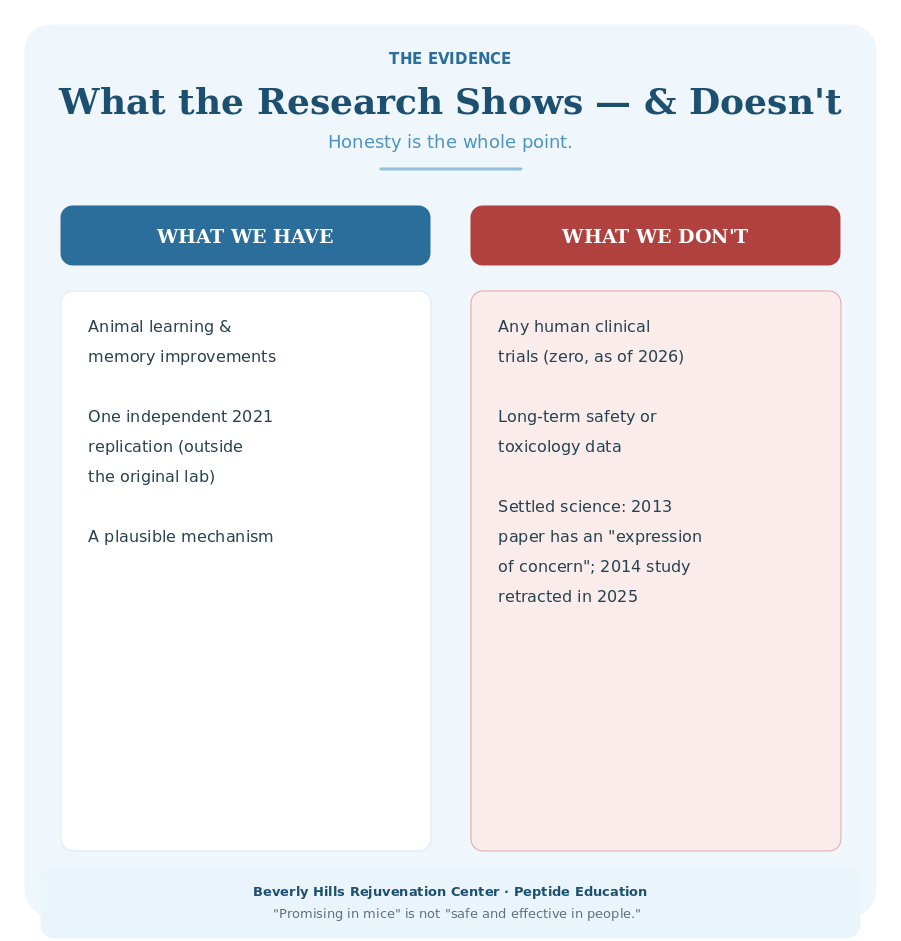 What the Dihexa research shows and doesn't: animal memory data and one independent 2021 replication, but no human trials, no long-term safety data, and contested foundational papers.