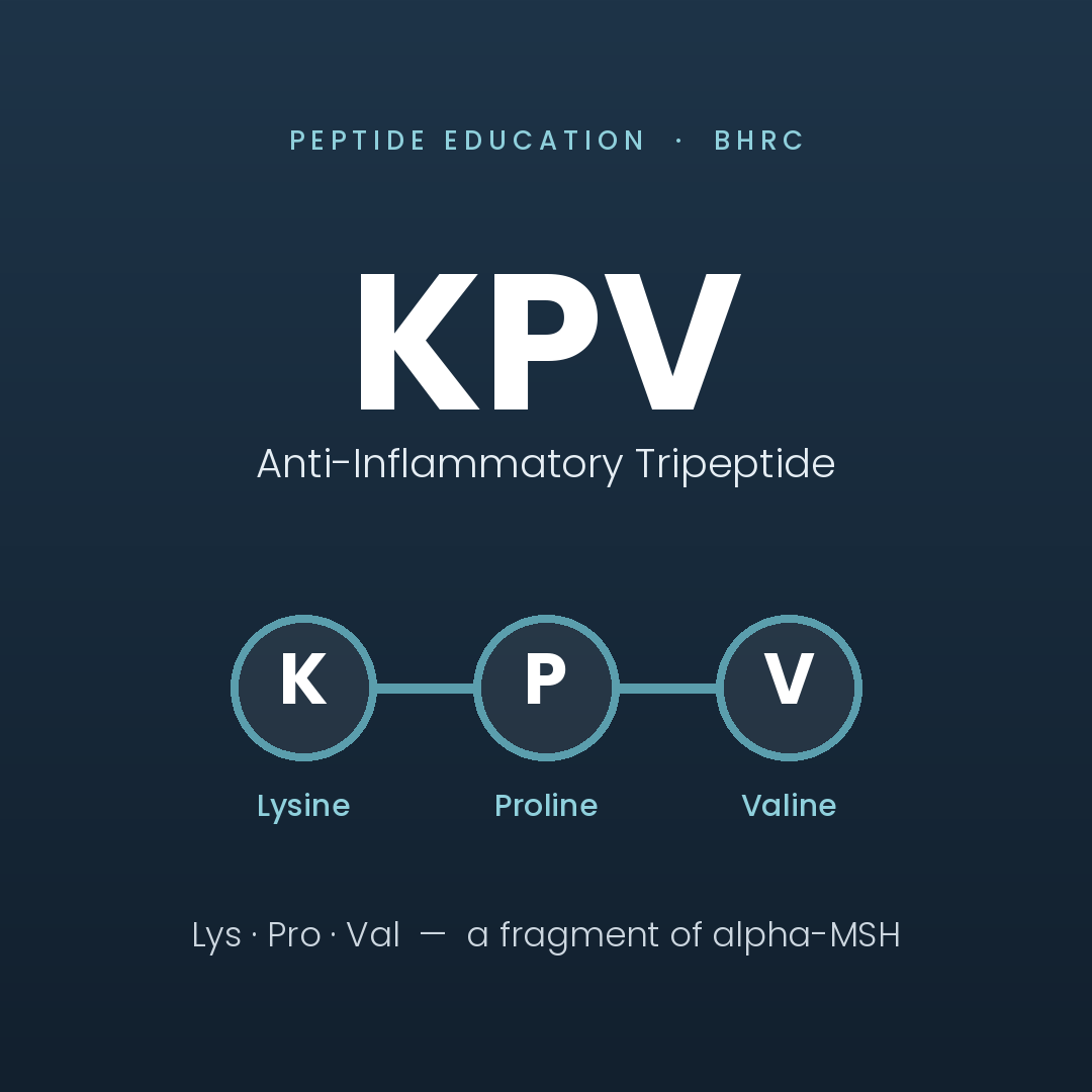 KPV peptide molecule — the tripeptide lysine-proline-valine, a fragment of alpha-MSH